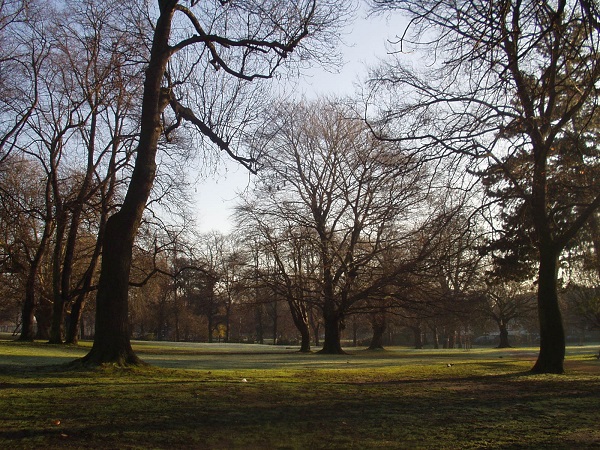 acton park - image friends of acton park