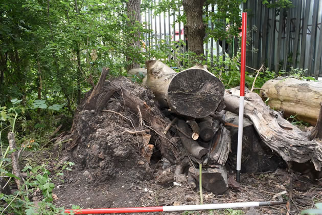 The spot where the body of Agnes was discovered