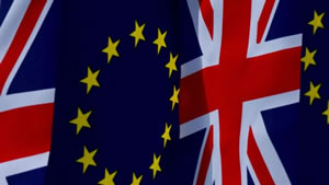 Over Two Thirds of Acton Voters Wanted to Remain