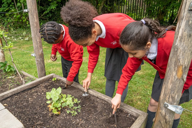 The children planting the seed bombs