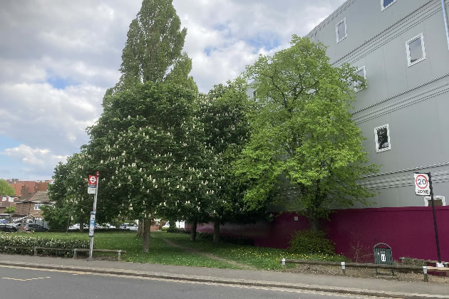 Friars Gardens in Acton