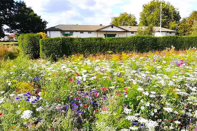 North Acton Pavilion