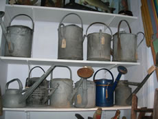 Vintage watering cans