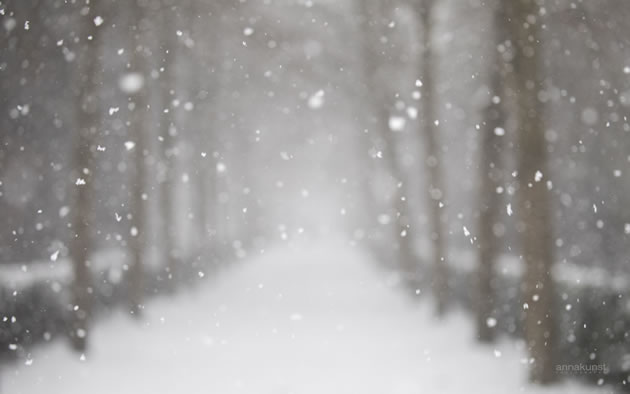 whiteout of snow in chiswick house