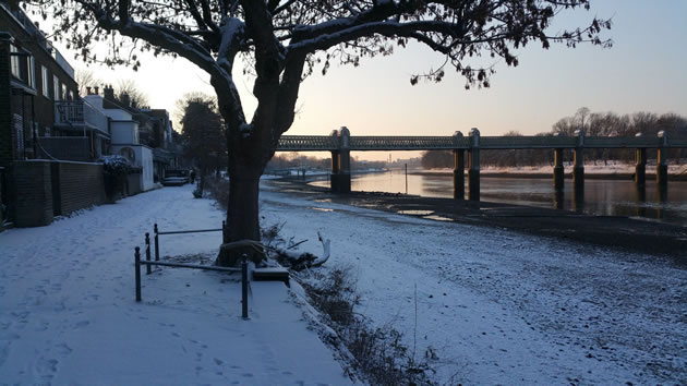 Looking east along Strand on the Green. Picture: Alastair Hilton @London_W4
