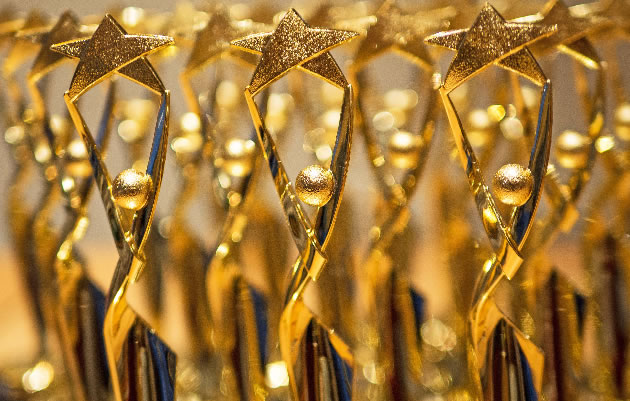 The judges have already chosen this year's award winners