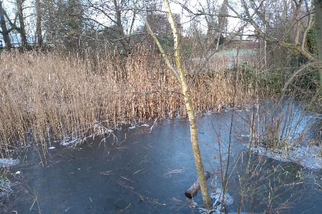 Barons Pond on Popes Lane could lose some protection against being developed