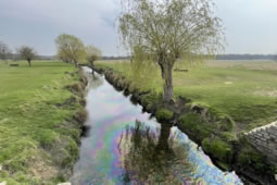 Mains Failure Releases Sewage into Beverley Brook