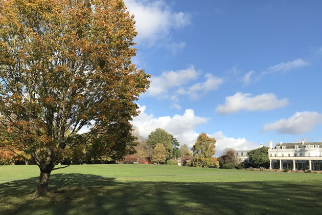 Cannizaro Park in Wimbledon 