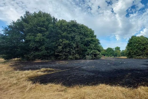 The fire ripped through the grass at Morden Hall Park