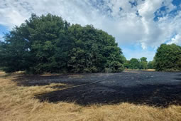 Disposable BBQ Blamed for Morden Hall Park Fire