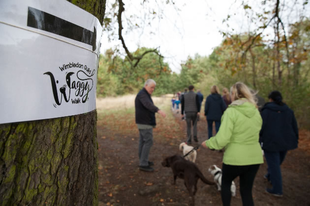Waggy Walk is a popular annual event on Wimbledon Common 